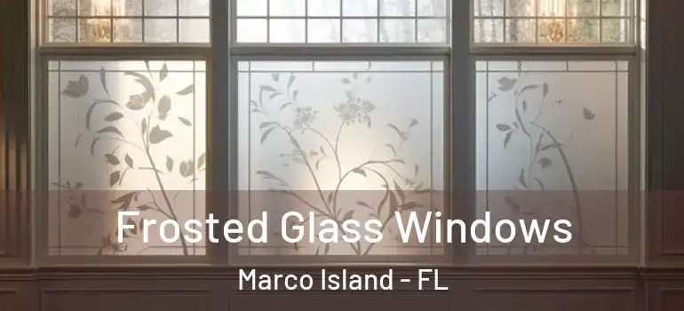  Frosted Glass Windows Marco Island - FL