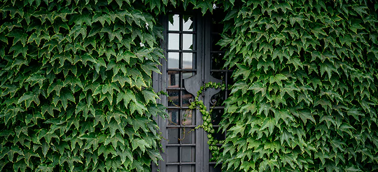 Garden Gate Repair in Marco Island, FL