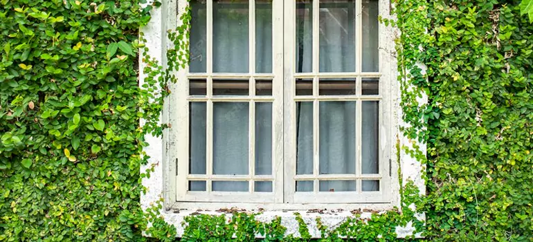 Garden Window Repair Near Me in Marco Island, FL