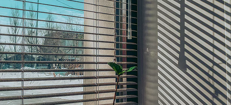 Commercial Window Blinds in Marco Island, FL