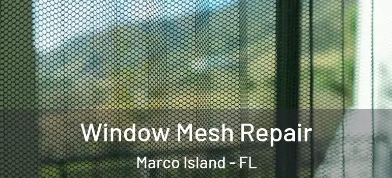 Window Mesh Repair Marco Island - FL