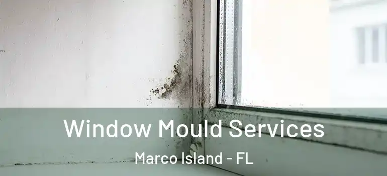  Window Mould Services Marco Island - FL